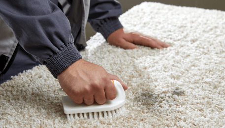 Professional Rug Cleaning Leigh Creek
